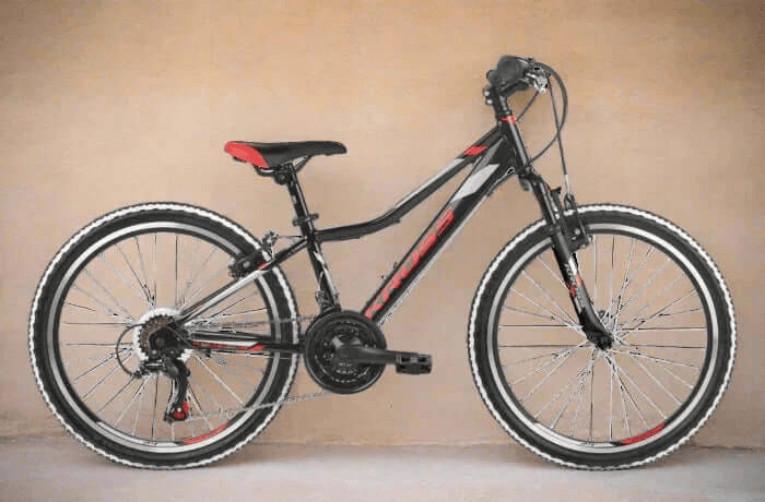 Noleggio di biciclette a Pollença (Maiorca) · foto 3