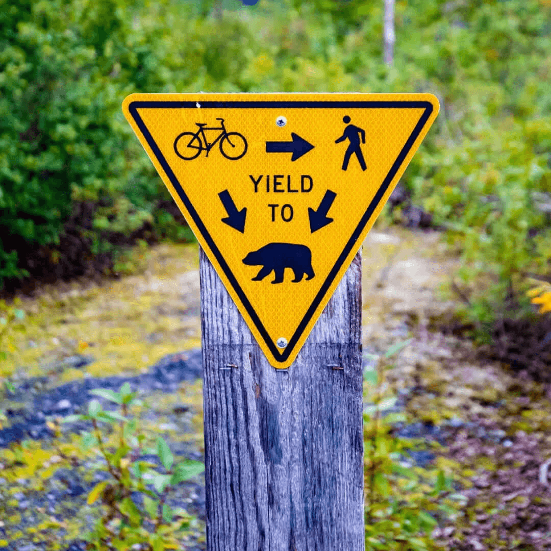 Noleggio bici Senda del Oso