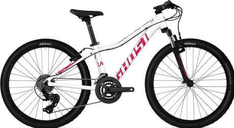 Noleggio bici Ainsa · foto 6