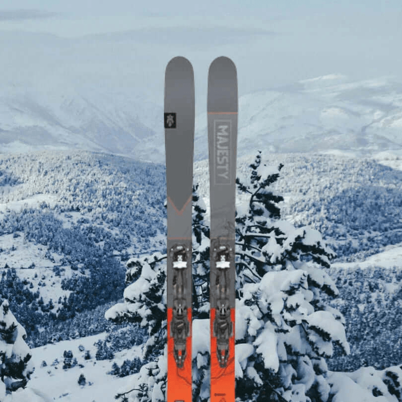 Paio di sci larghi sopra un bosco innevato – sci da alpinismo, noleggio sci a Val Thorens