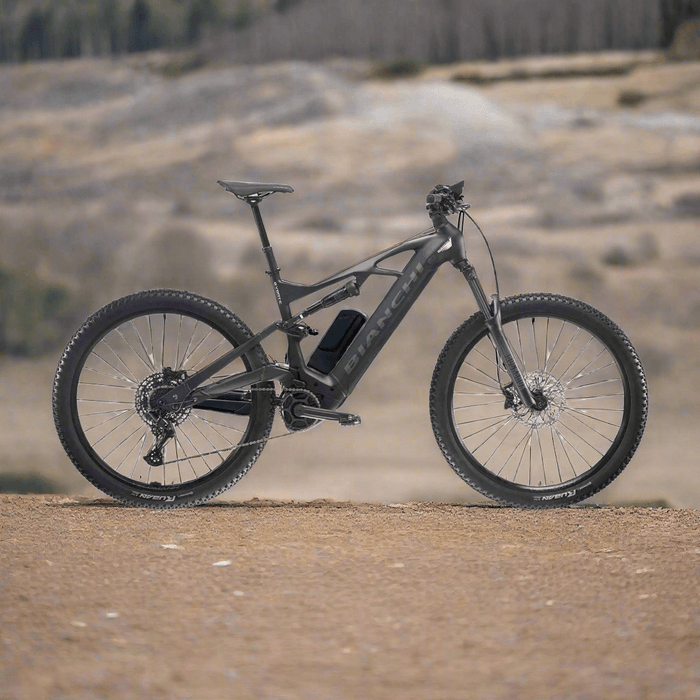 alquiler bici alecetrica