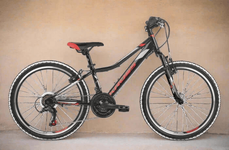 Noleggio di biciclette a Pollença (Maiorca) · foto 3