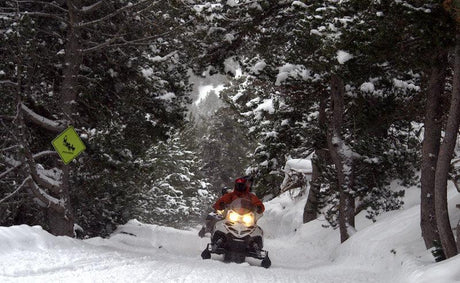 Motoslitta Baqueira · foto 2