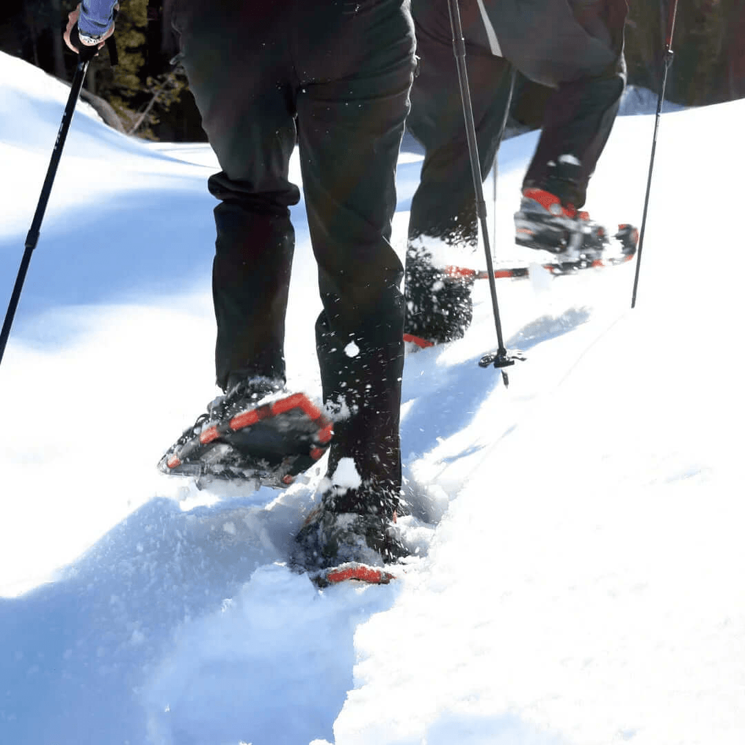 Noleggio sci a Baqueira: attrezzatura completa da sci · foto 9